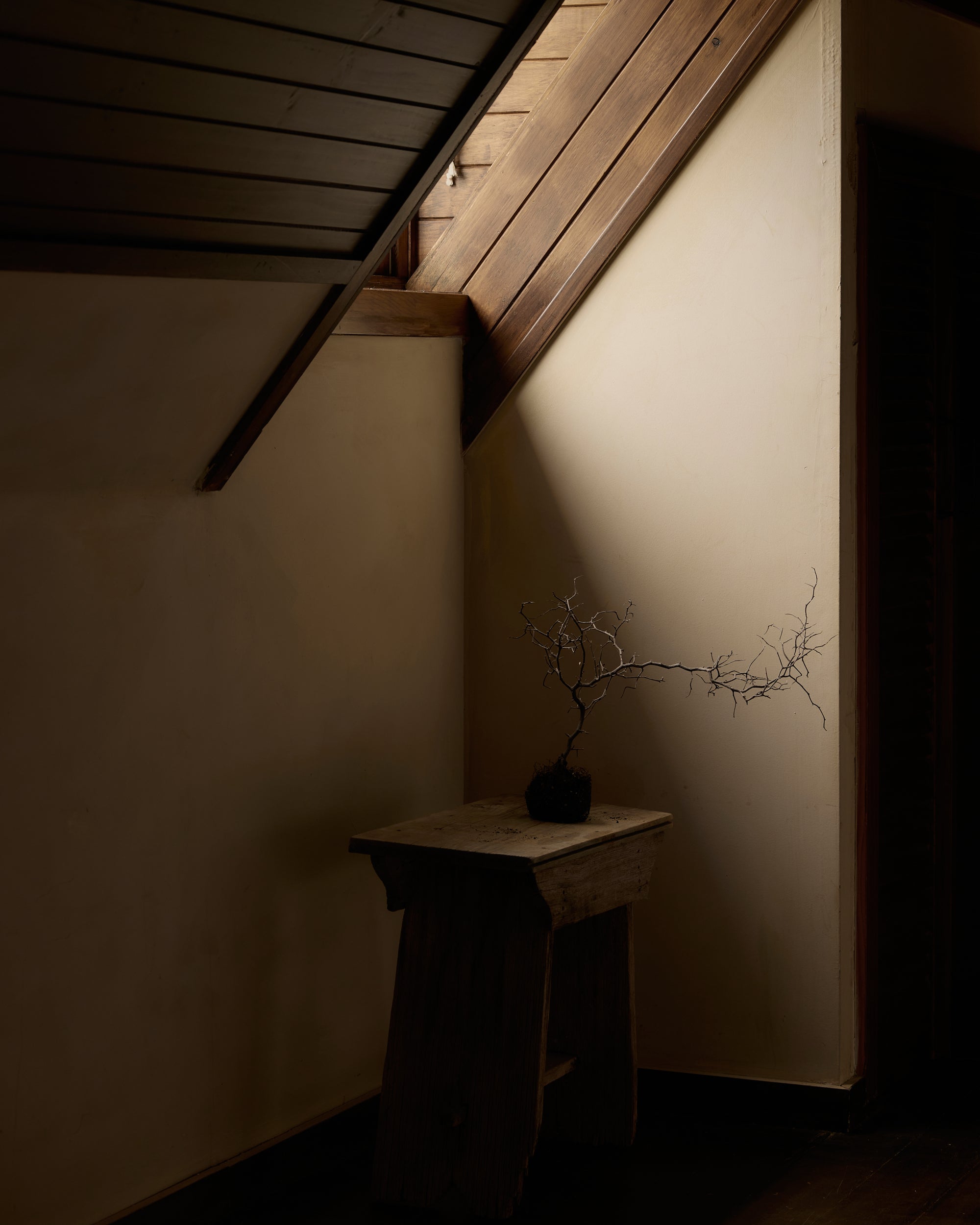 Nook with wooden shelf and plant against a wall with slanted ceiling